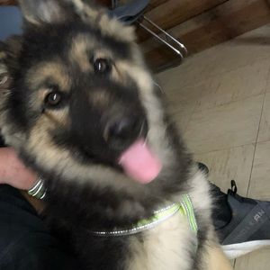 Meet your Posher, Heidi